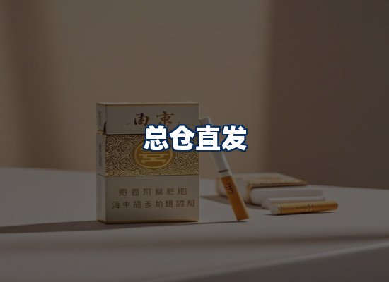 专业团队办公环境